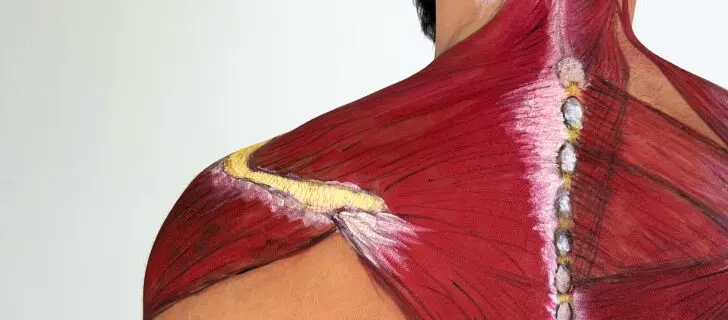 Szkolenia - Szkolenia FRSc